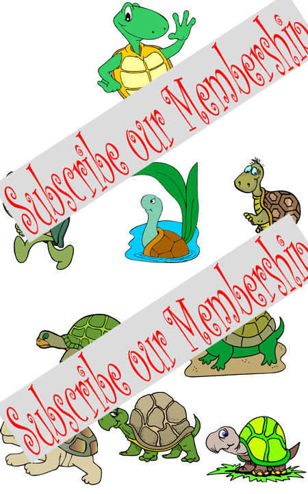turtle embroidery designs